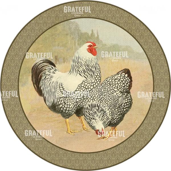 Provence Poulet - Circle