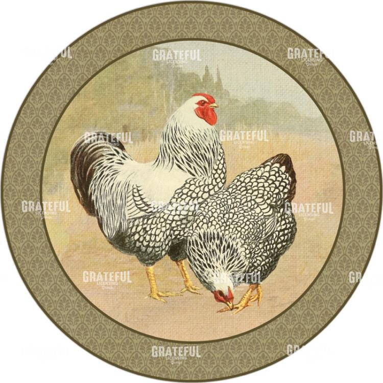 Provence Poulet - Circle