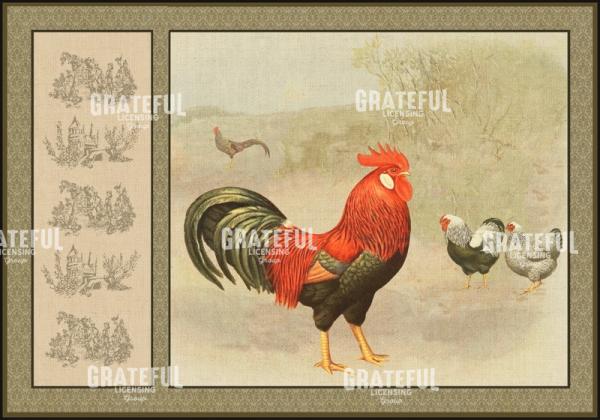 Provence Poulet - Horizontal