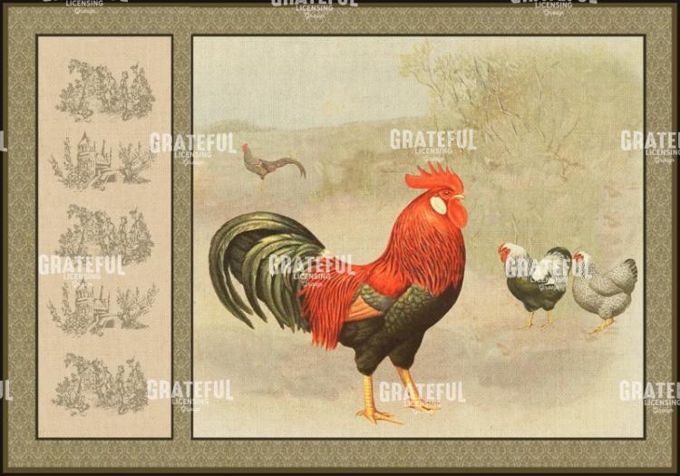 Provence Poulet - Horizontal