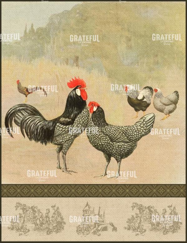 Provence Poulet - Vertical