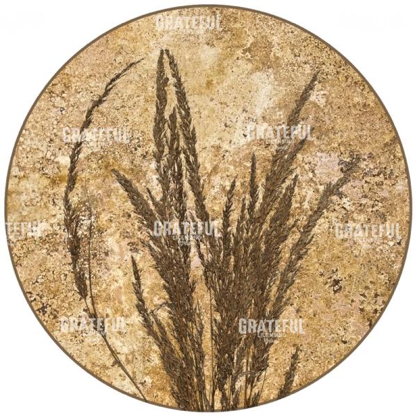 Harvest - Circle