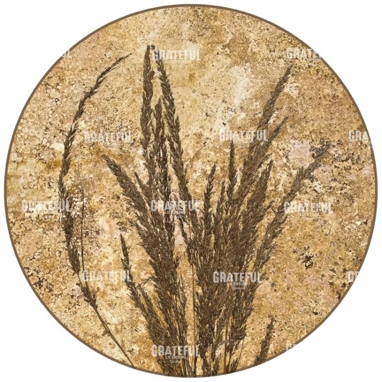Harvest - Circle
