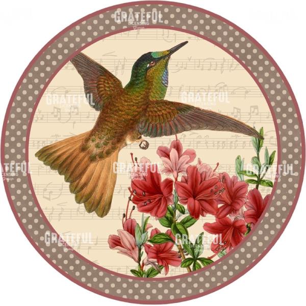 Spring Rhapsody C Circle