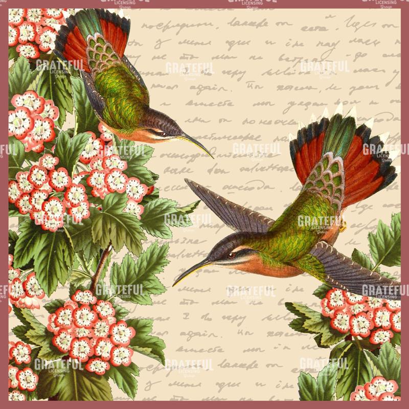 Spring Rhapsody D Square