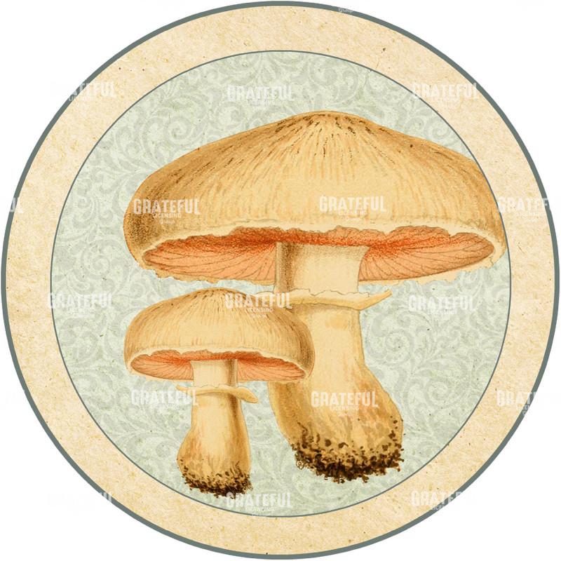 Timbres Champignons 1 C Circle