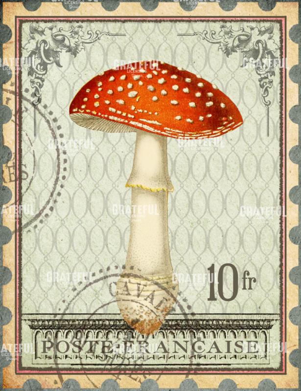Timbres Champignons 1 E Vertical