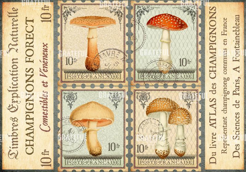 Timbres Champignons 1 A Horizontal
