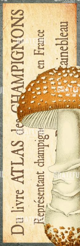 Timbres Champignons 1 F Vertical Panel