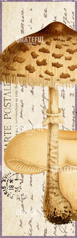 Timbres Champignons 2 F Vertical Panel