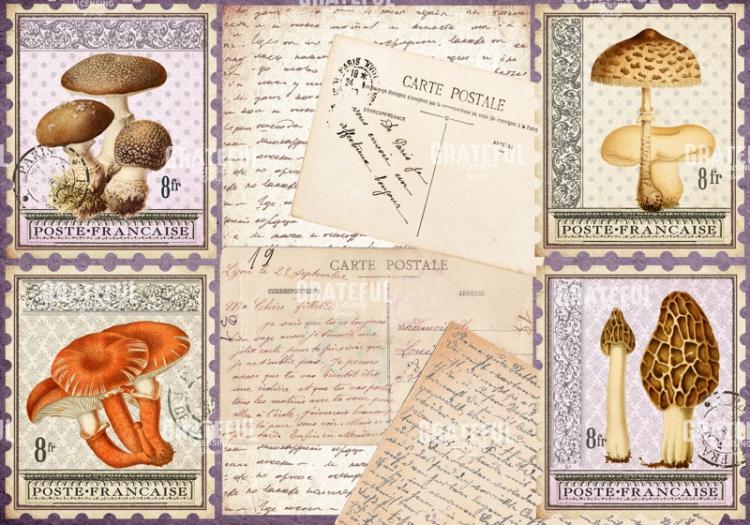 Timbres Champignons 2 A Horizontal