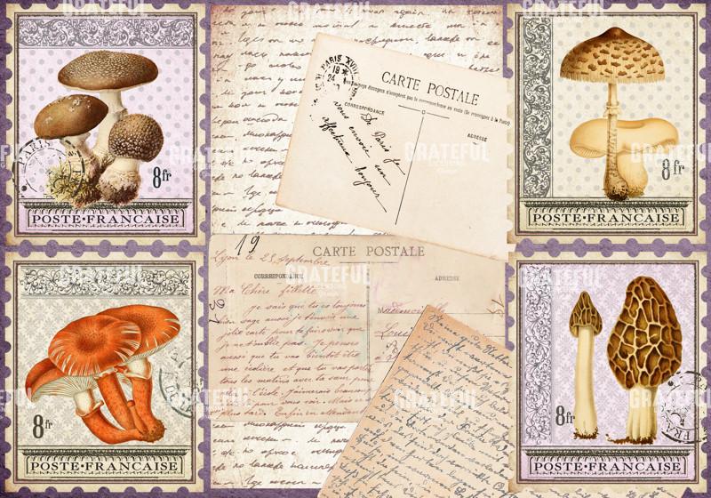 Timbres Champignons 2 A Horizontal