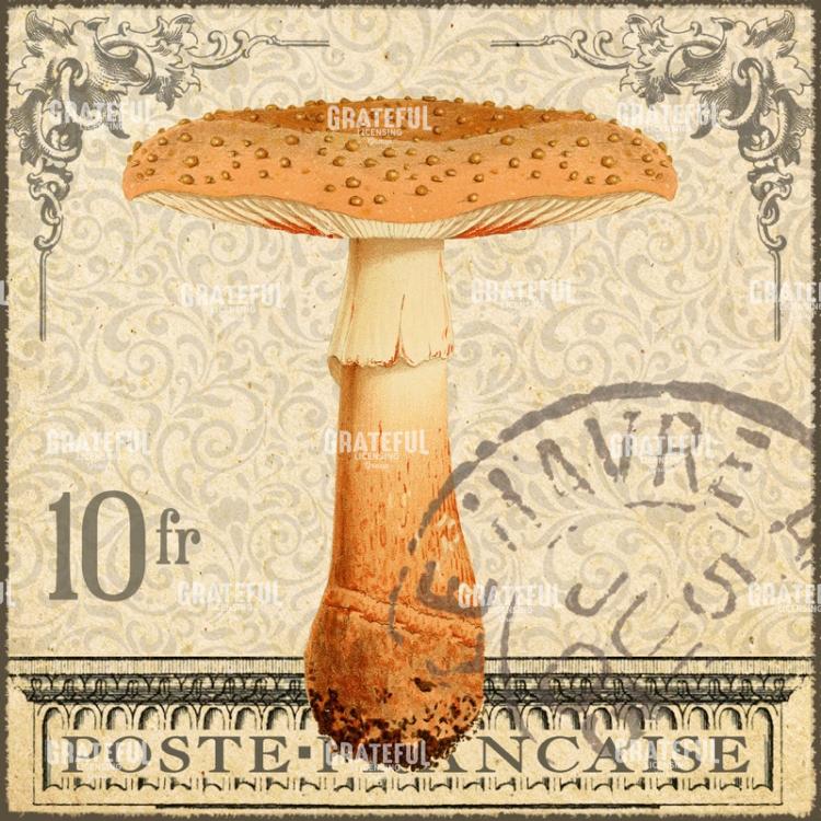Timbres Champignons 1 D Square