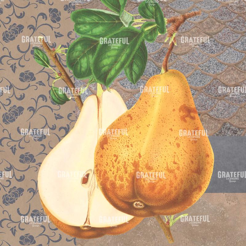 Une Poire Square 1
