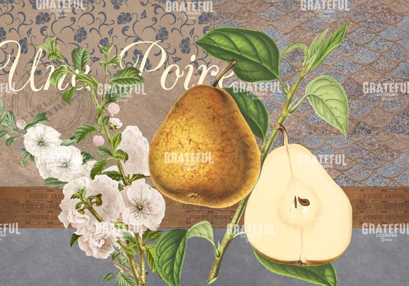 Une Poire Horizontal 2