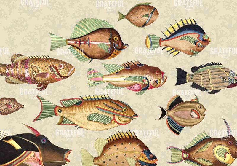 Very Fishy Indeed - Horizontal 2