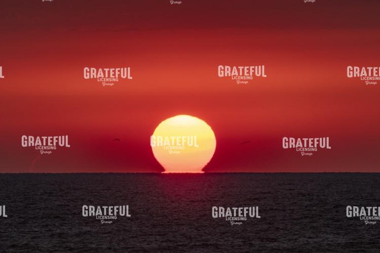 Summer Sun Melts Into The Horizon