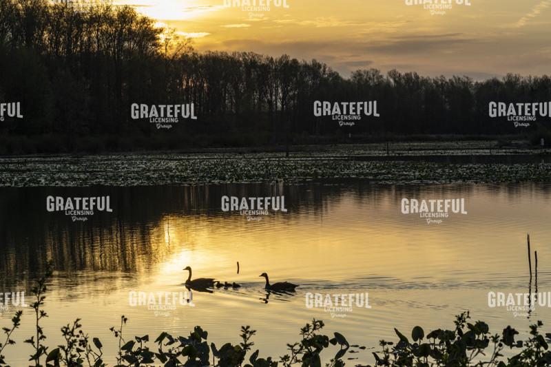 April Morning on the Marsh