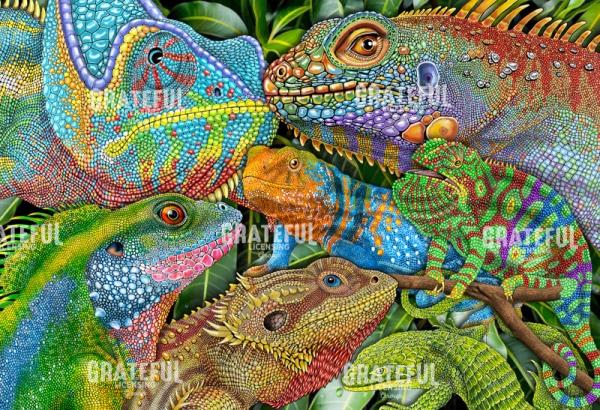 Reptile Collage 2