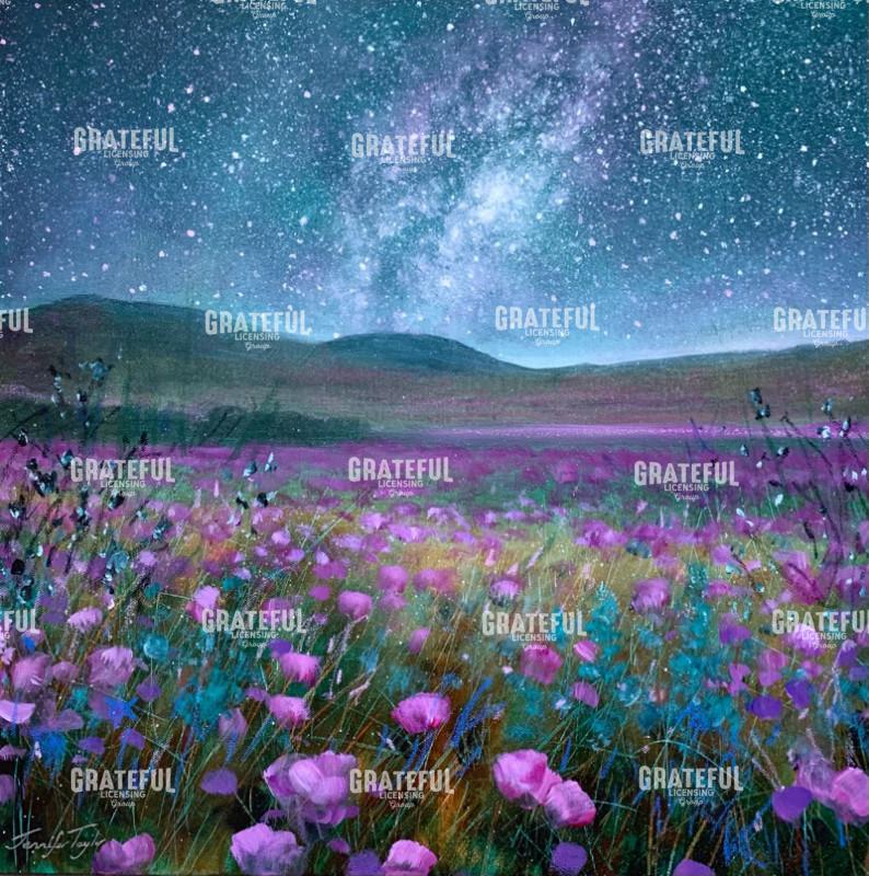 Night Under The Stars