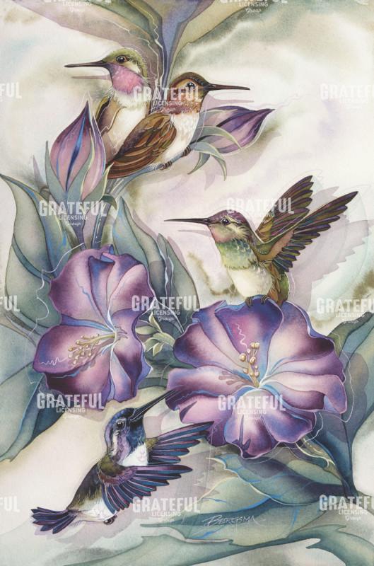 Hummingbird Time