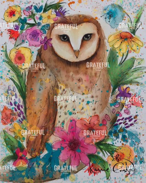 Barn Owl