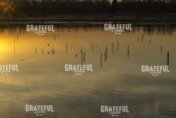 Marsh Sunrise Reflections