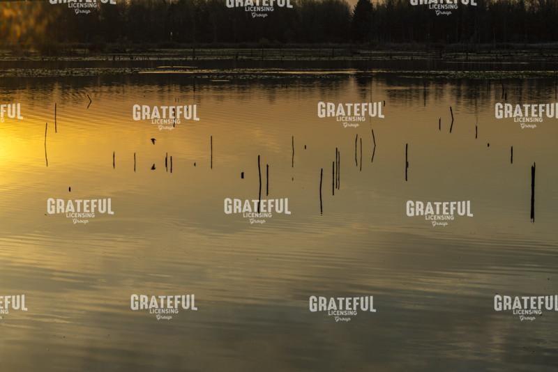Marsh Sunrise Reflections