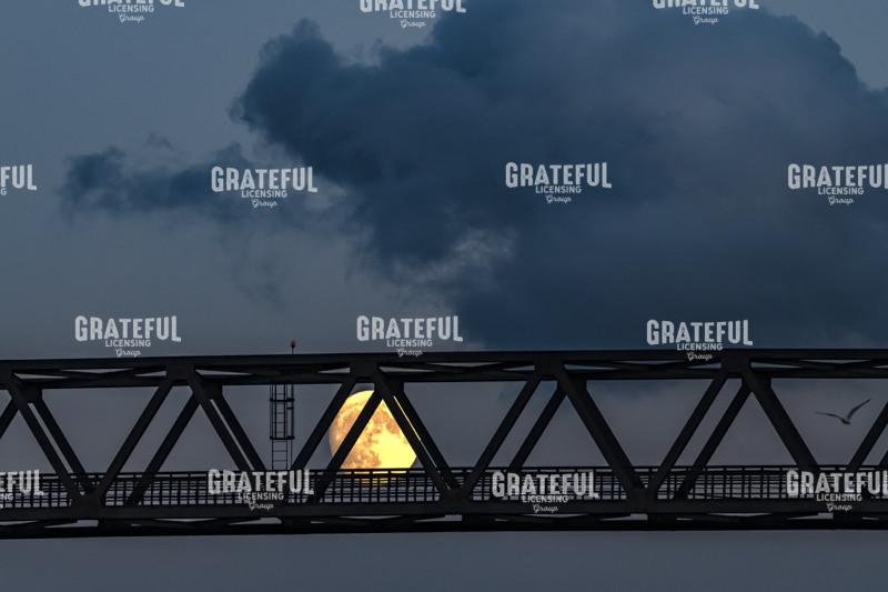 Moonrise Bridge and A Seagull