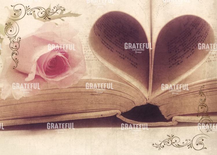 Vintage Book and Rose