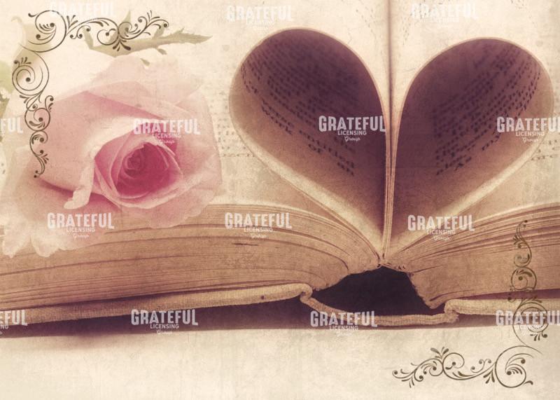 Vintage Book and Rose