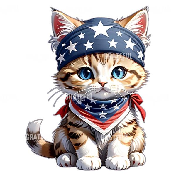 American Kitten