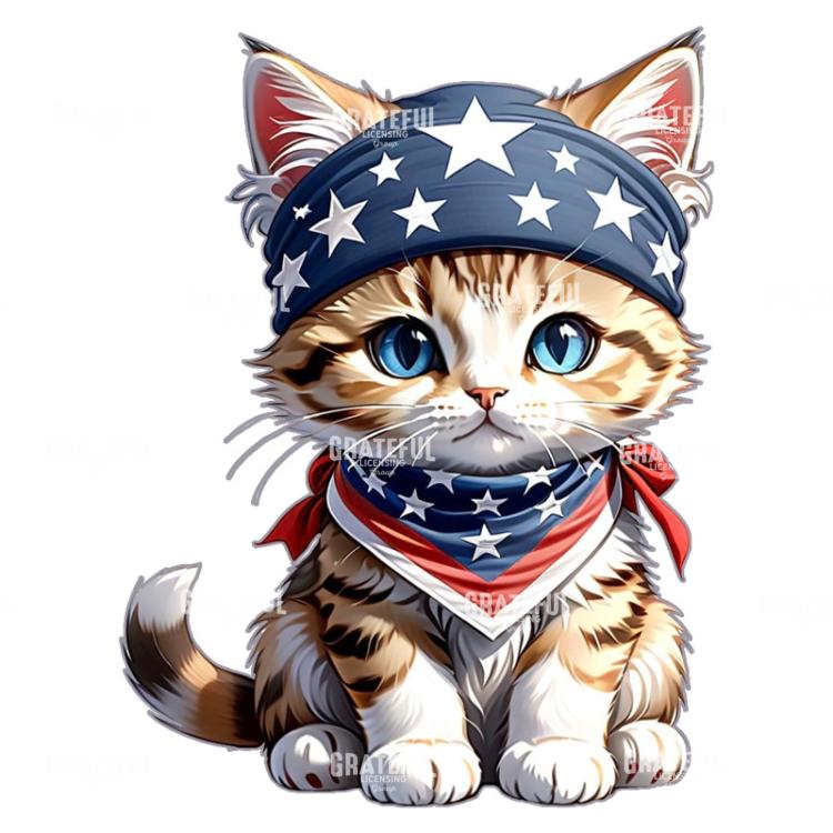 American Kitten