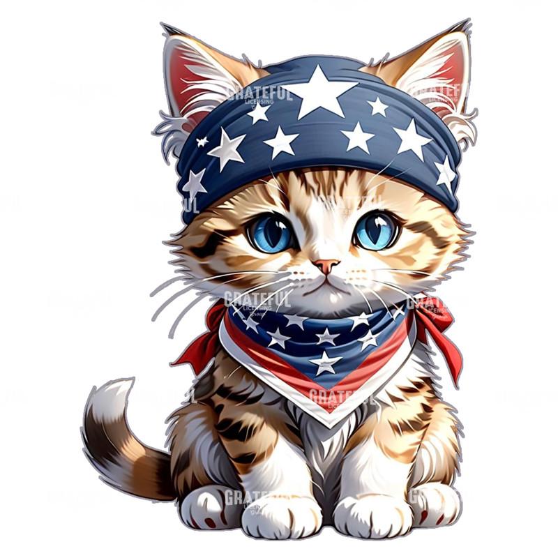 American Kitten