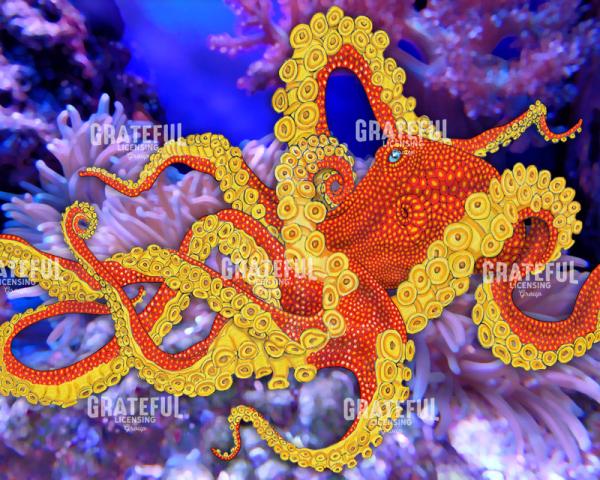 Giant Pacific Octopus_24x30_300dpi_TimJeffsArt.tif