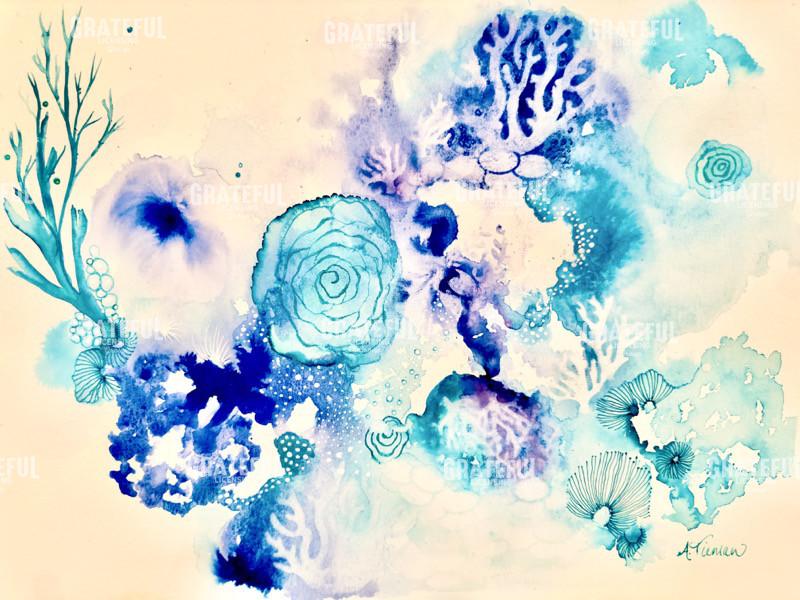Coral Kingdom 2