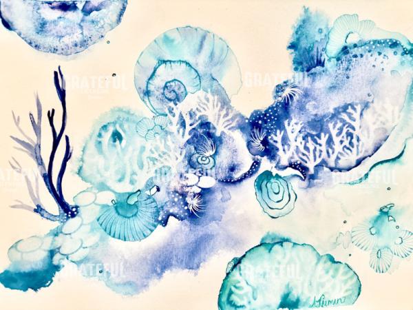 Coral Kingdom 3