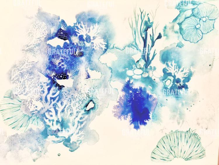 Coral Kingdom