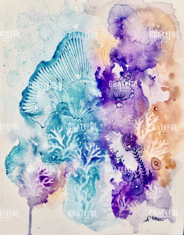 Hidden Coral Treasures