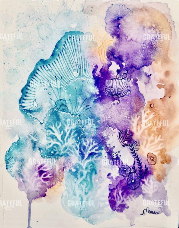 Hidden Coral Treasures