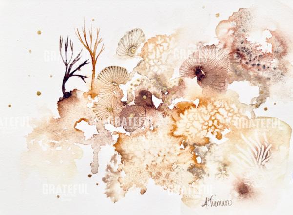 Sunlit Reef 3