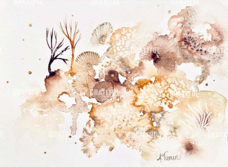 Sunlit Reef 3