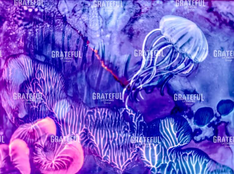 Underwater Odyssey