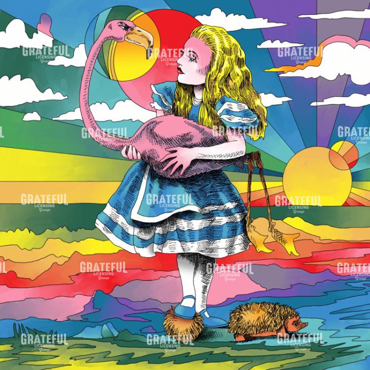Alice And Flamingo