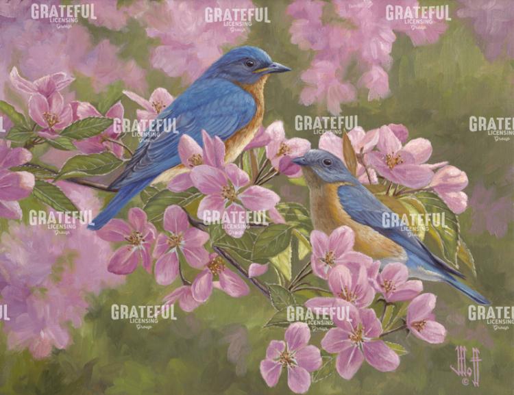 Pinks And Blues