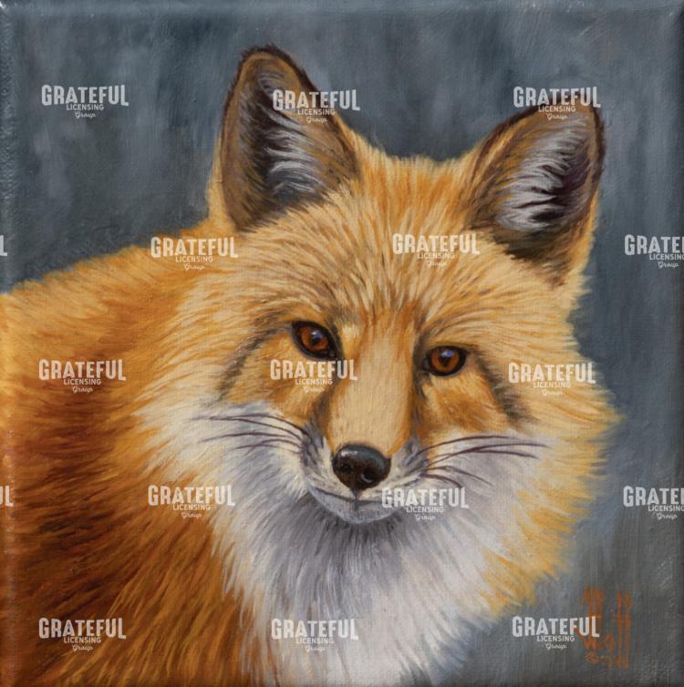 Red Fox Portrait 2