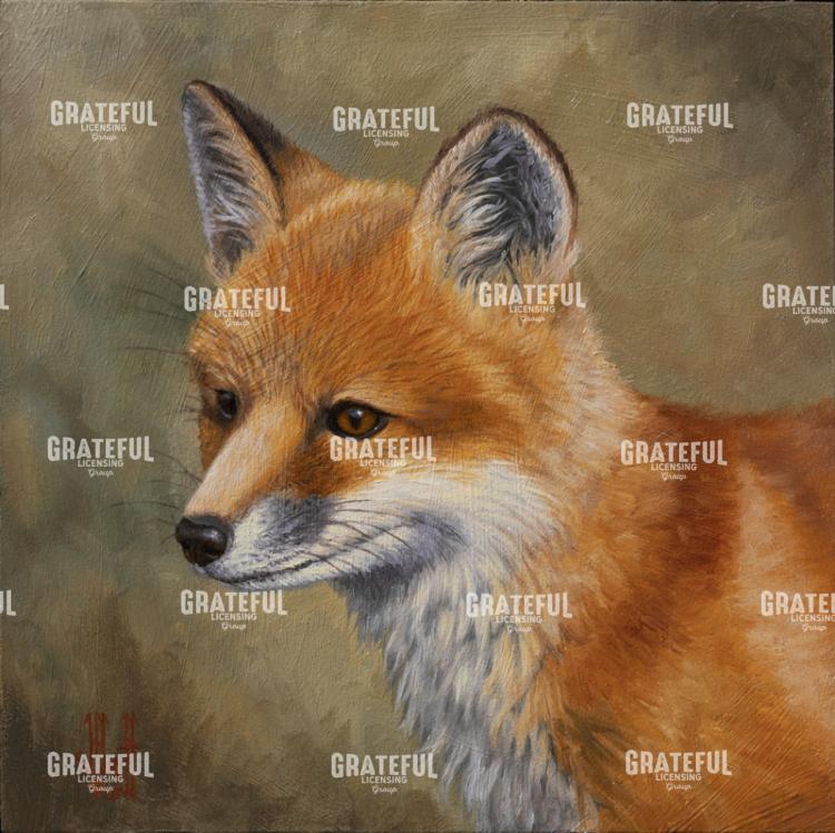 Red Fox Portrait 1