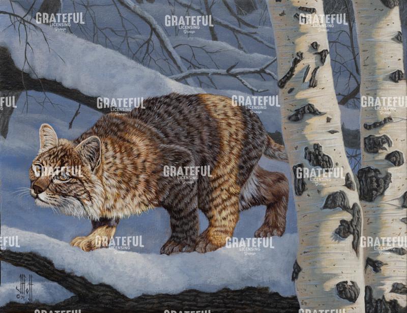 Snowy Forest Bobcat
