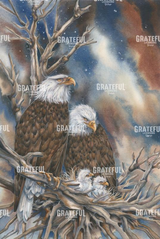 Safety From The Storm