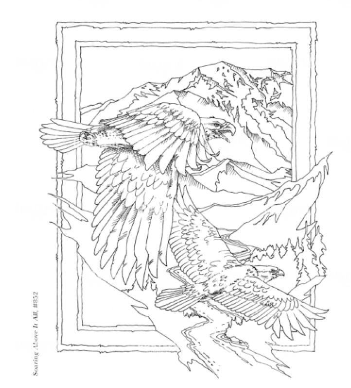 In Flight Sketch